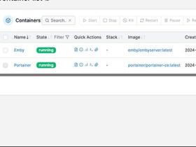 Portainer安装Emby服务器